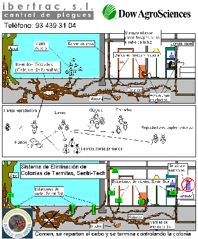 DiagramaSentri-Tech.gif