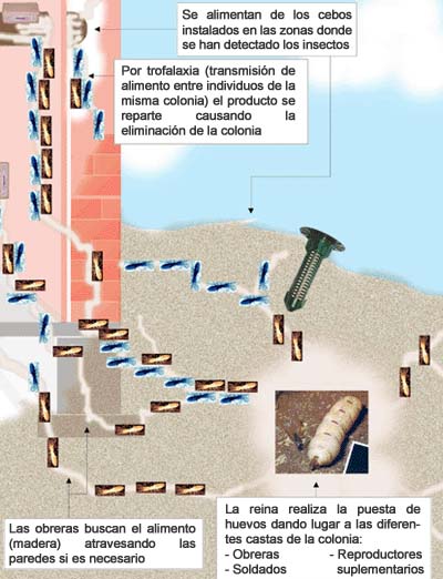 Diagrama de funcionamiento